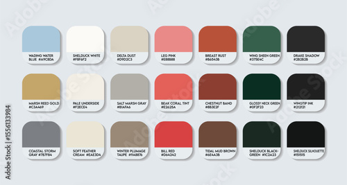 Tadorna tadorna Color Palette. Tadorna tadorna color Tone Swatch Chart with HEX Codes and Color Names. Common shelduck feathers and Body Colors Tones Variants. Fashion waterfowl species color palette