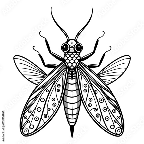 Black and white line art of a lacewing insect with detailed wings and body on a white background entomology