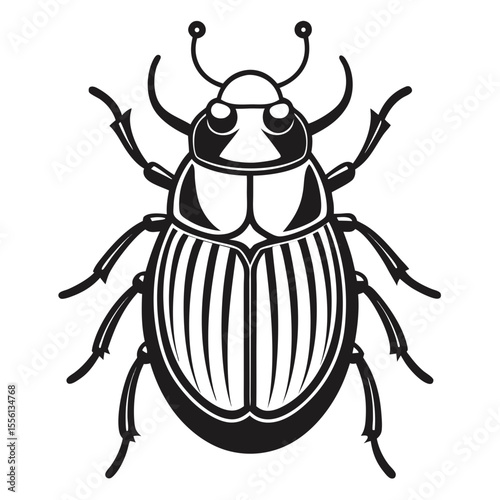 Black and white line art scarab beetle insect on white background animal