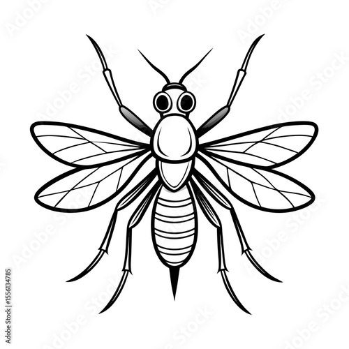 Black and white line art vector illustration of a mosquito with detailed wings and body segments on a white background