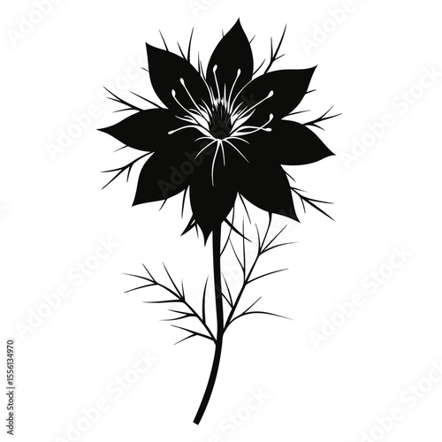 Black silhouette of a love in a mist flower with delicate feathery leaves on a white background Nigella damascena