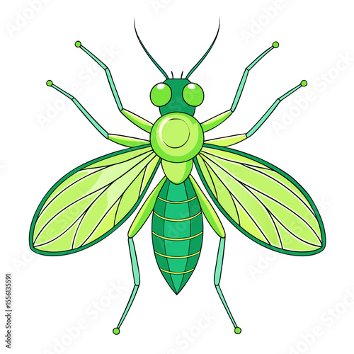 Green insect with large wings and segmented body on white background greenfly aphid