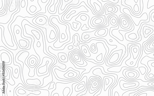 Abstract topographic line map. Cartography line map. Geographic line map. Topographic wavy pattern. Line wave. Carve pattern on a white background.
