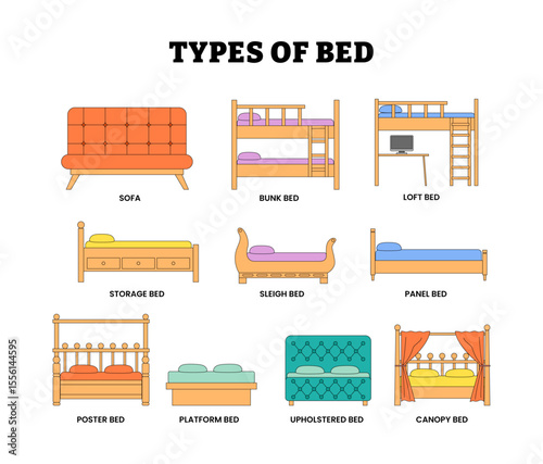 Different Types of Bed Types Set Collection, Labeled Sofa, Bunk, Loft, Storage, Sleigh, Panel, Poster, Platform, Upholstered, Canopy. Outline or Line Style Vector Illustration. Interior Home Furniture