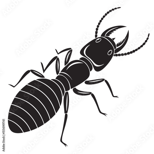 Termite illustration