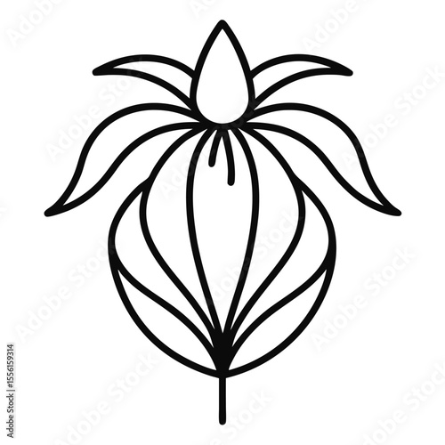  crown imperial flower line art---on-white