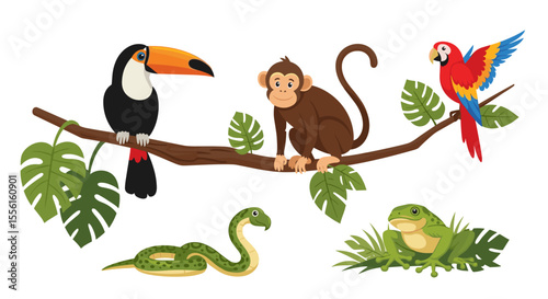 A cartoon illustration of a toucan monkey parrot snake and frog in a jungle setting
