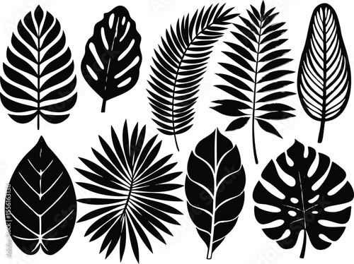 Set of black tropical leaf silhouettes including palm, monstera, and jungle foliage