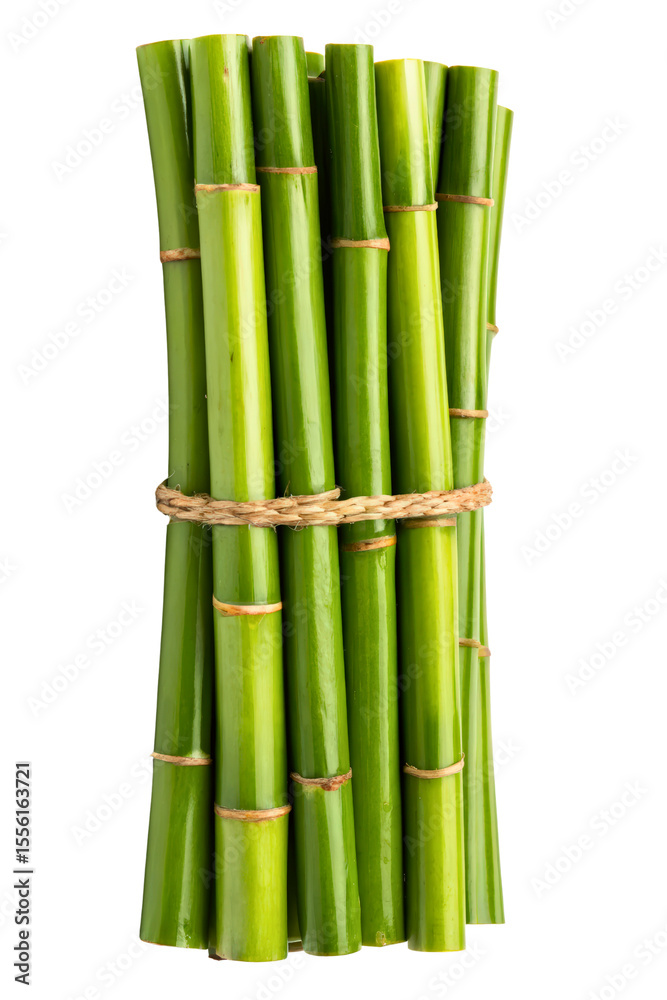 Fototapeta premium A bundle of fresh green bamboo stalks tied with rope isolated with transparent background