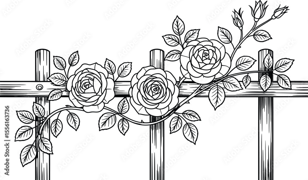 Rose vine trellis illustration black and white floral garden element
