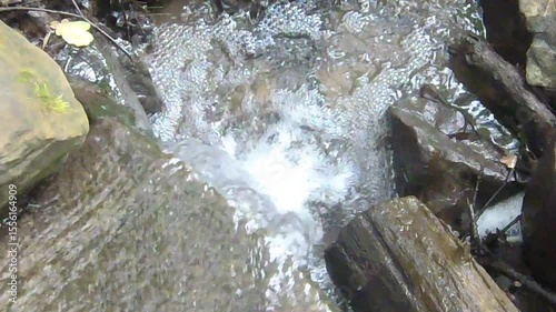 waterfall in the forest
