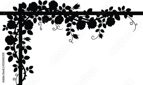 Rose vines silhouette corner graphic frame flourish decoration floral design element