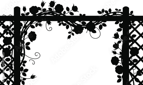 Decorative rose vine climbing black silhouette on garden arbor illustration