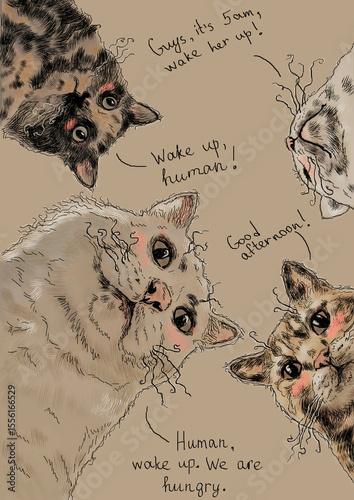 Naughty cats want to eat, cat care, cat psychology, cat feeding, pet food, comic hand drawn illustration