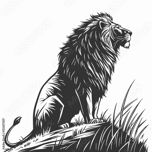vector  of lion