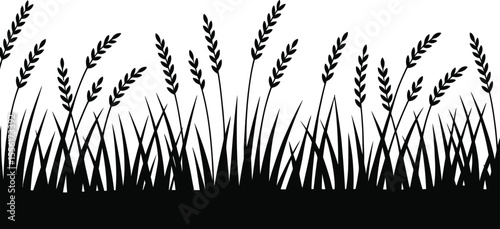 Silhouette of field with grass and wheat or barley crops in black