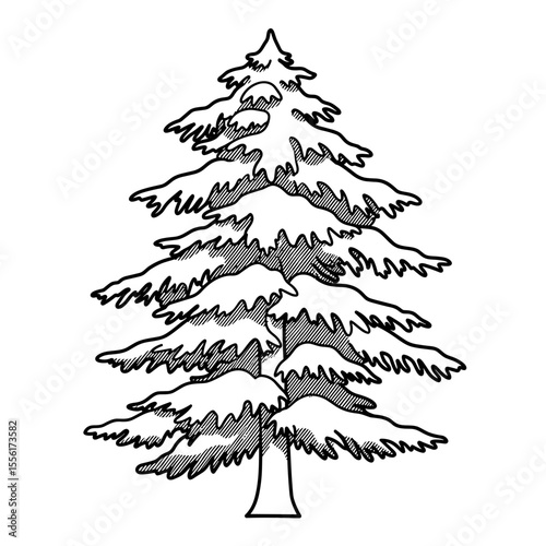 Tree silhouette icon in black and white with detailed branches  