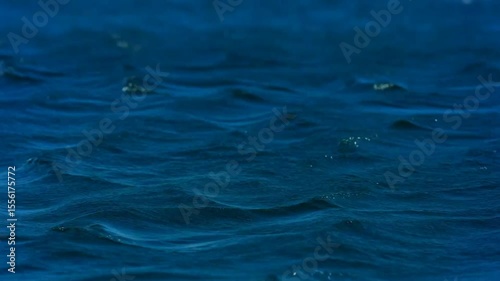 Wallpaper Mural Slow-motion close-up of gently disturbed blue ocean water surface, showing ripples and subtle waves with shimmering reflections.
 Torontodigital.ca
