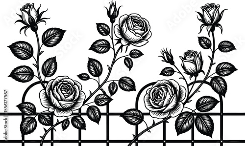 Elegant black and white roses floral design element on fenced background