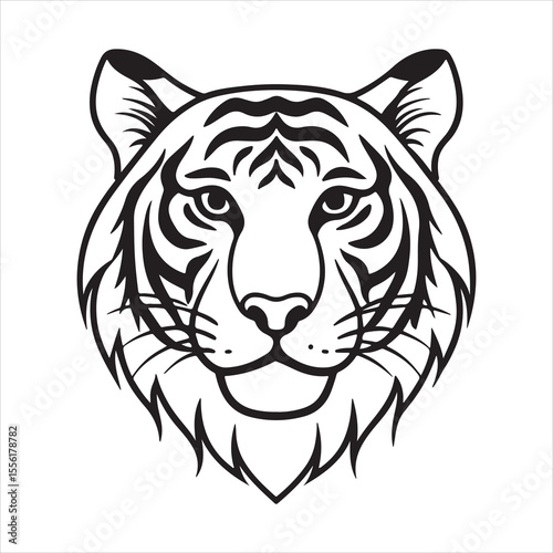 South China Tiger – Rare Stripes of Asia’s Forgotten Forests
