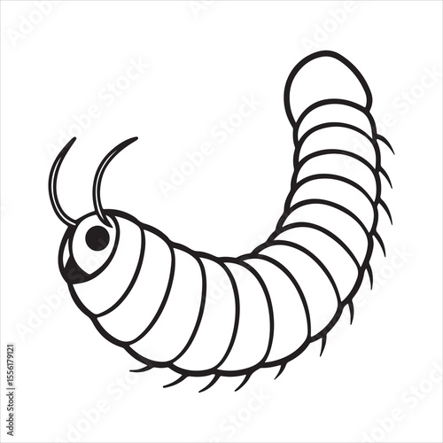 Unique Soft-Bodied Velvet Worm in Natural Habitat