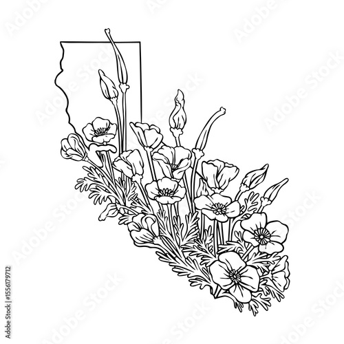 California state flower, California poppy flower lineart vector illustration, fits the California state map frame, cool for stickers, coloring books, t-shirts, etc.