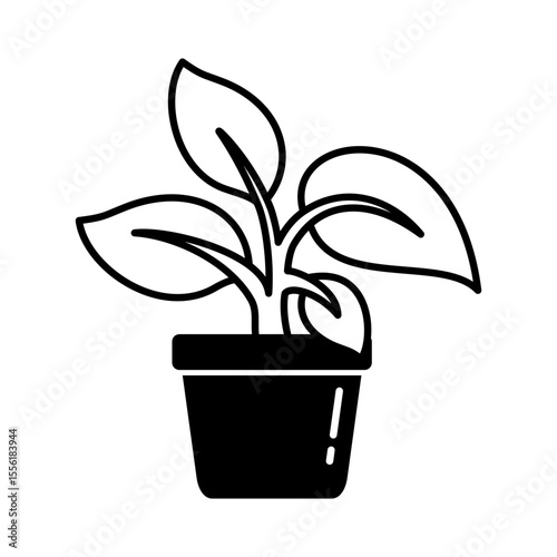 plant in pot