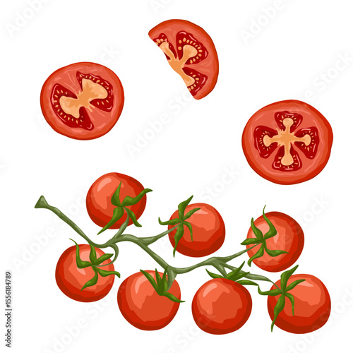 Vector set with whole cherry tomatoes on vine and sliced pieces. Hand drawn food illustration for packaging, cooking design, product visuals, menu graphics, healthy eating and grocery content