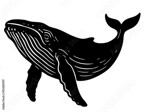 Whale