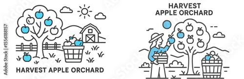 Harvest apple orchard showing the joy of picking apples in a sunny countryside setting with a scenic barn