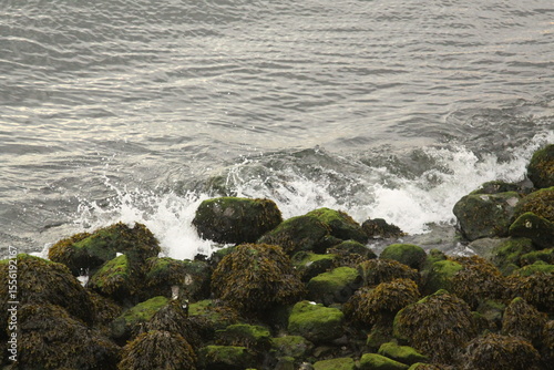 Fototapeta Naklejka Na Ścianę i Meble -  waves and rocks