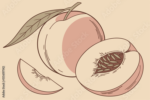 peach with soft shadows- and gentle highlights