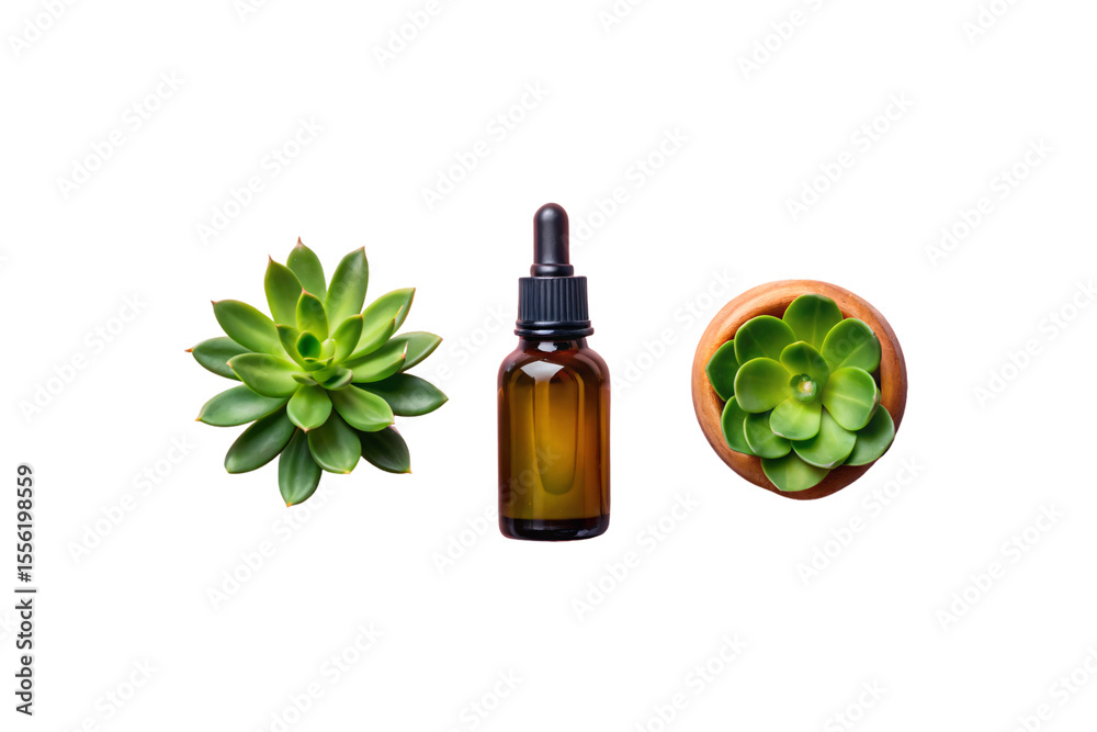 Obraz premium Amber dropper bottle centered between two green succulent plants viewed from above on white surface, isolated on a transparent background