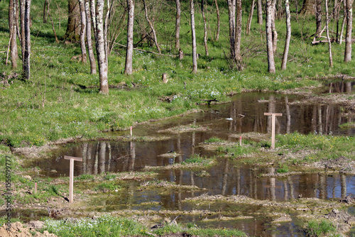 Fotografie Marked wooden stakes outline a flooded grassy wetland with shallow pools, surrou