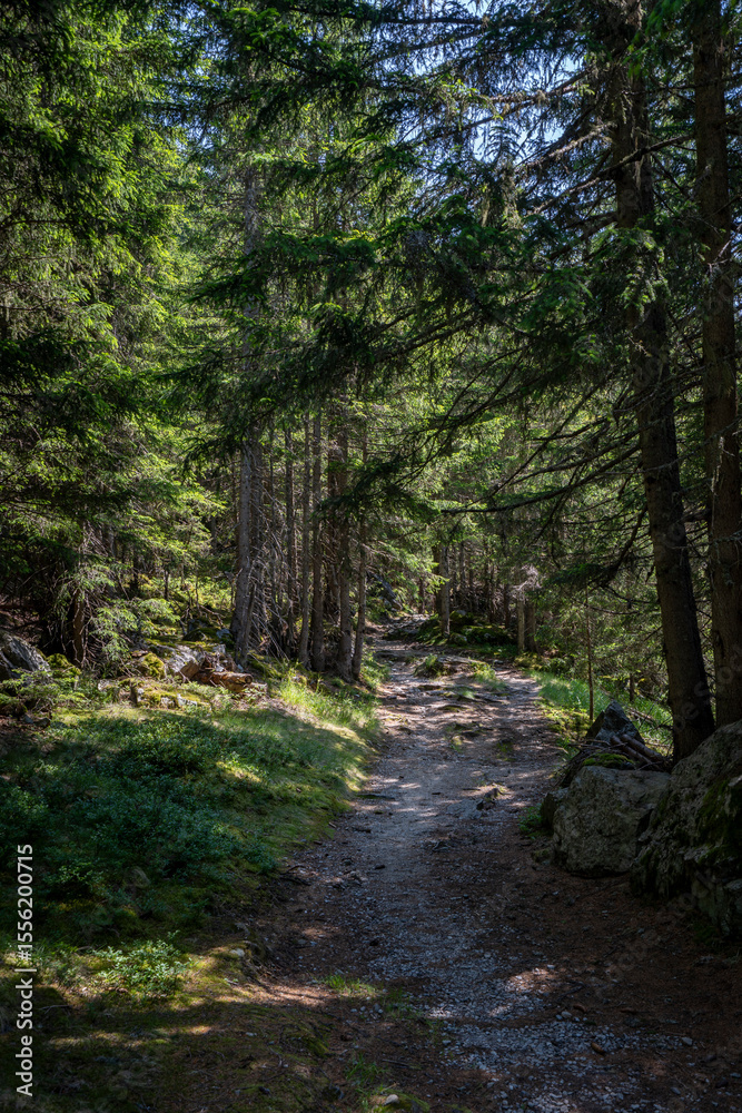 Obraz premium hiking path in the mountains of Vorarlberg Austria in Montafon in Gaschurn