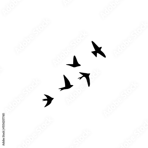 Silhouette of birds flying in a smooth upward curve. Represents natural motion, freedom, and peaceful wildlife concept.