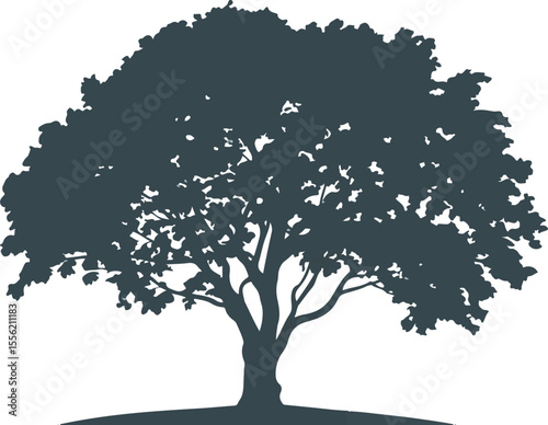 Majestic dark green tree silhouette with sprawling branches and dense foliage vector