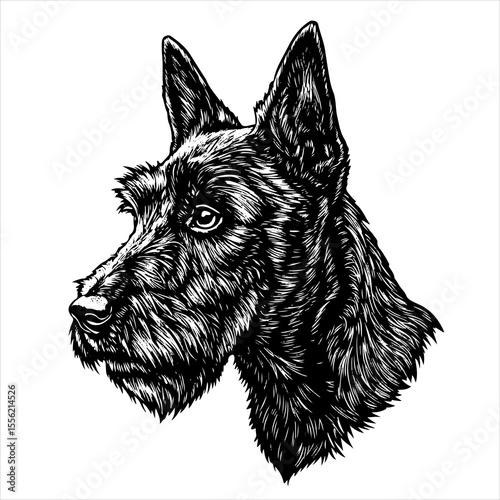 head Scottish dog pet portrait engraving intricate retro hand drawn style line art black and white vector illustration, isolated on white background