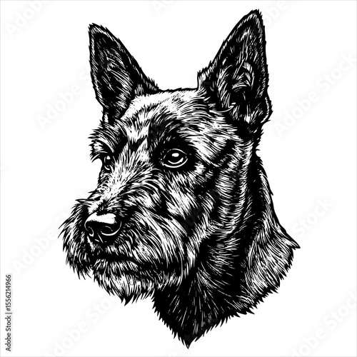 head Scottish dog pet portrait engraving intricate retro hand drawn style line art black and white vector illustration, isolated on white background