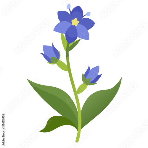 bugloss flower isolatedbuck-bean-flower, buck-bean, silhouette, white, background, shameless, flower, vector, illustration, nature, spider, insect, design, plant, symbol, floral, tattoo, art, black, b