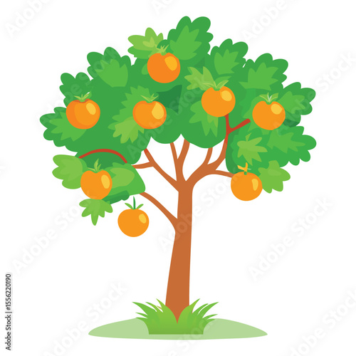 Orange tree illustration with ripe oranges and green leaves for children's books and educational use
