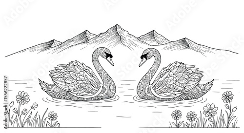 Ornate swans in mountain lake vector illustration for adult coloring, nature design in line art style