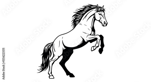 Majestic horse vector illustration in line style for equestrian design