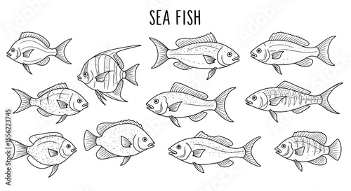 Ocean life vector illustration: hand drawn sea fish collection for design and print