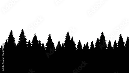 Black silhouette of coniferous forest on white background

