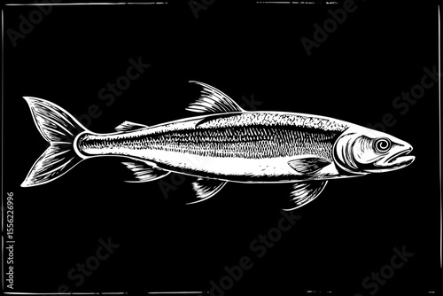 fish on a black background