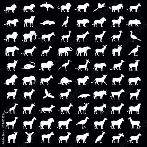 A set of white animal silhouettes on a black background