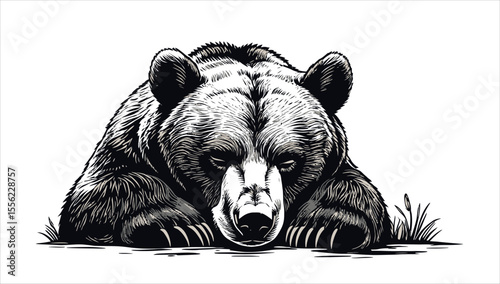 A black and white drawing of a bear