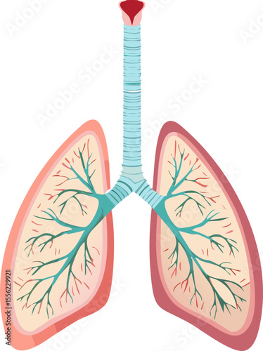 Illustration santé respiratoire moderne