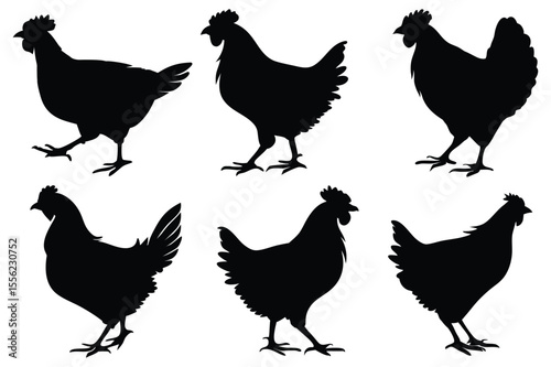 Chicken, hen, and rooster silhouette vector set – farm poultry animal icons collection